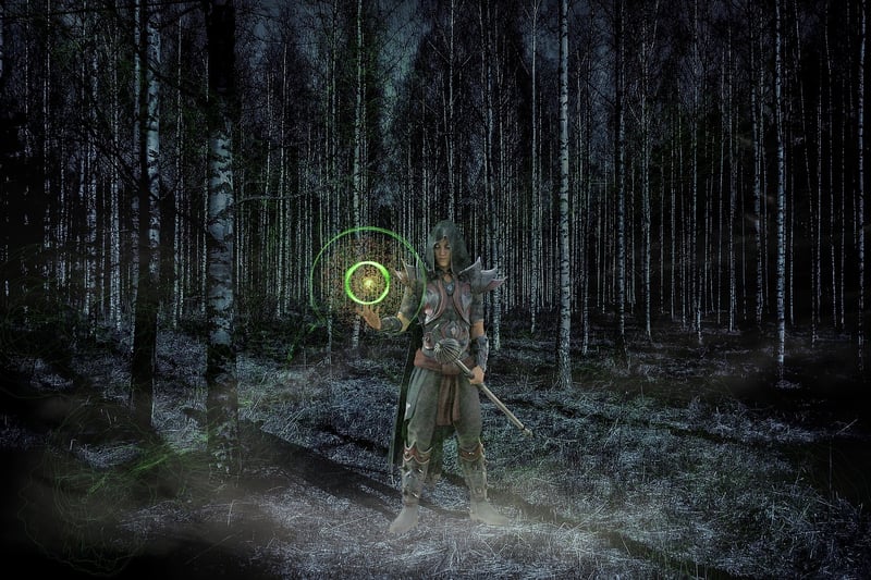 Fantasy Wizard
